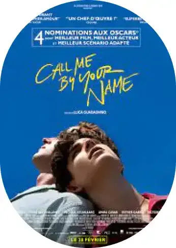 Call Me By Your Name : 2017